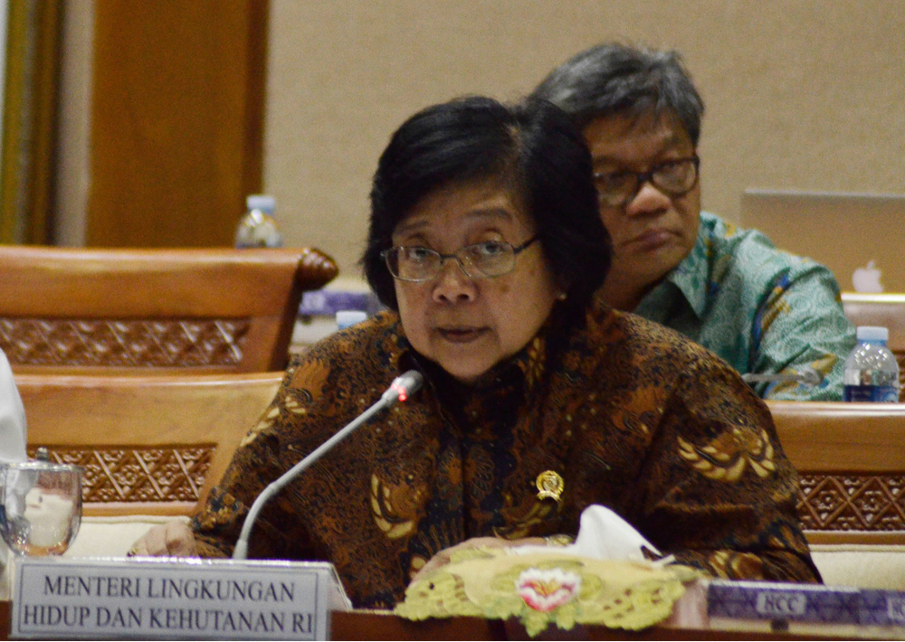 Menteri LHK Ingatkan Pemda: Regulasi Pemetaan Harus Mengacu Pada Standar Nasional